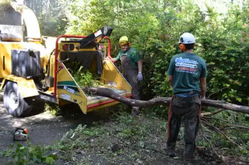 tree services Hermitage